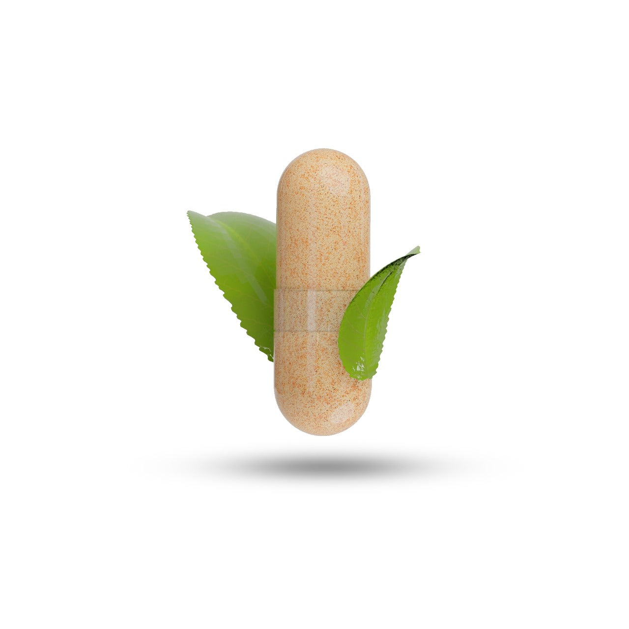 Nootropic Brain & Focus Formula