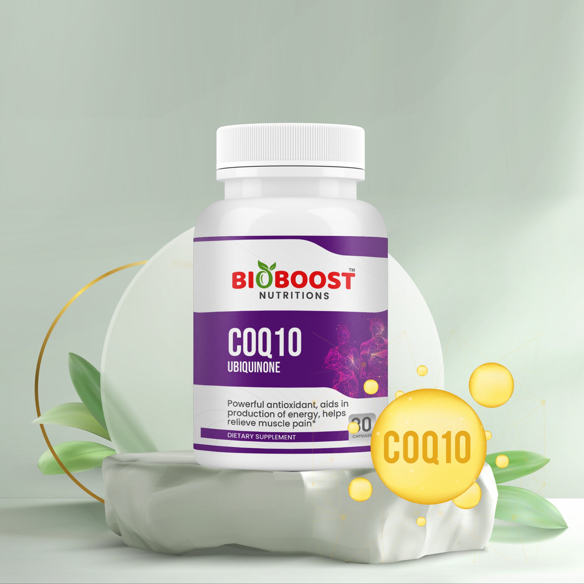 CoQ10 Ubiquinone