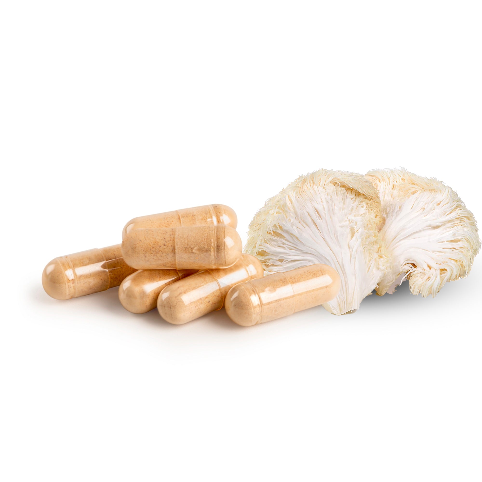 Lion's Mane Mushroom