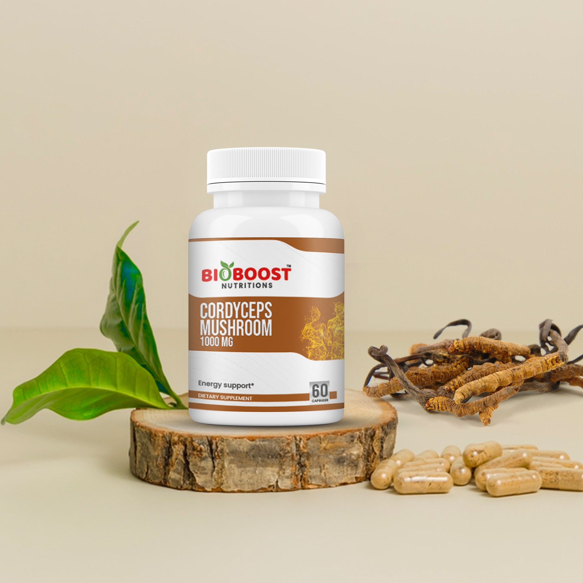 Cordyceps Mushroom