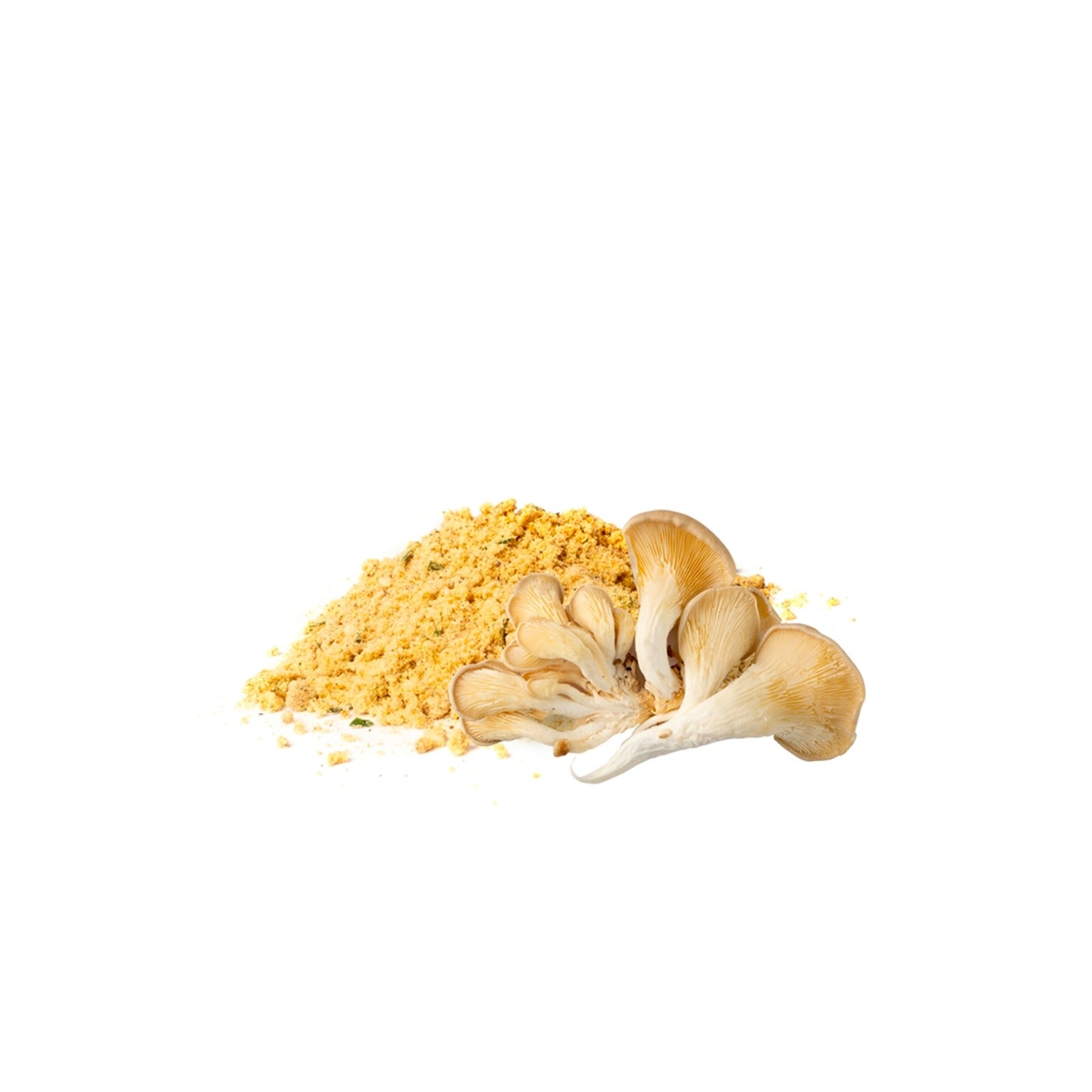 Fermented Mushroom Blend