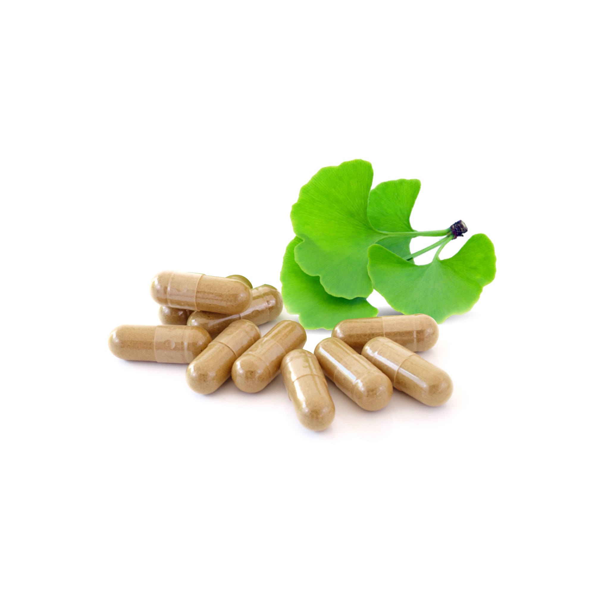 Ginkgo Biloba + Ginseng