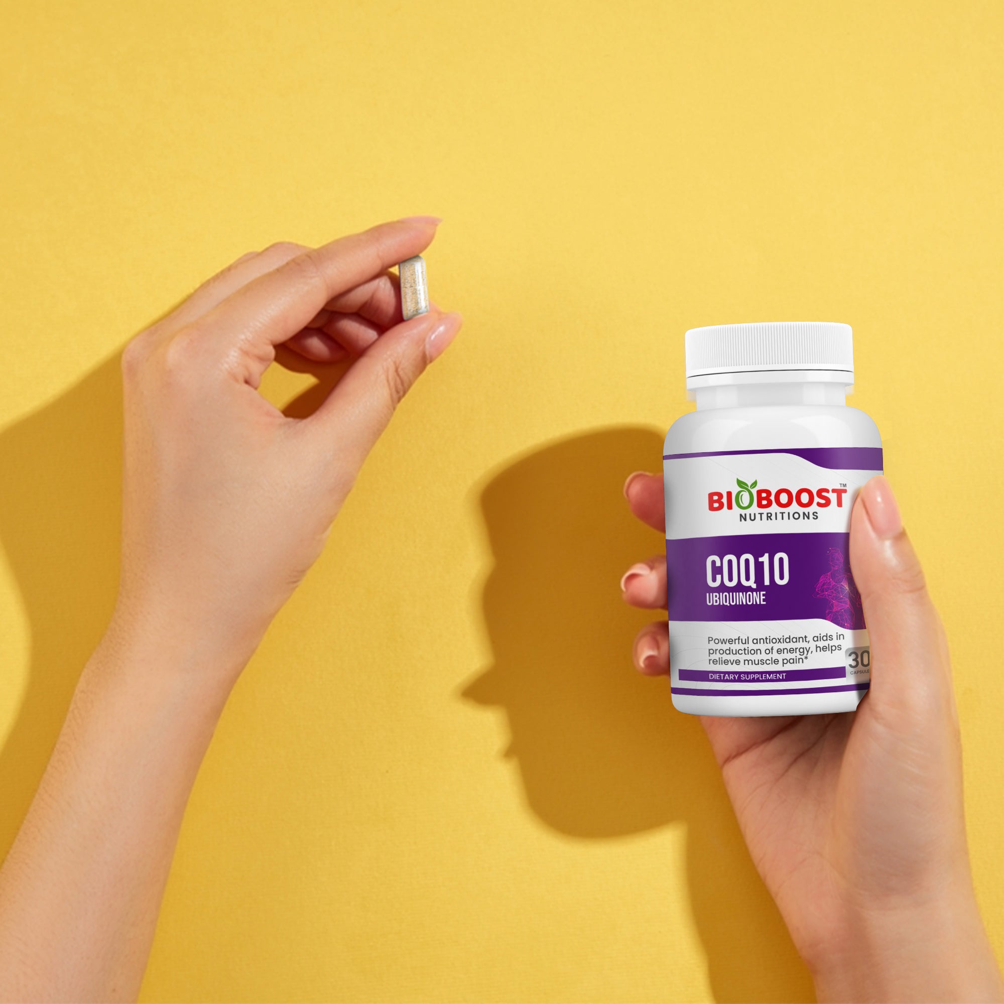CoQ10 Ubiquinone