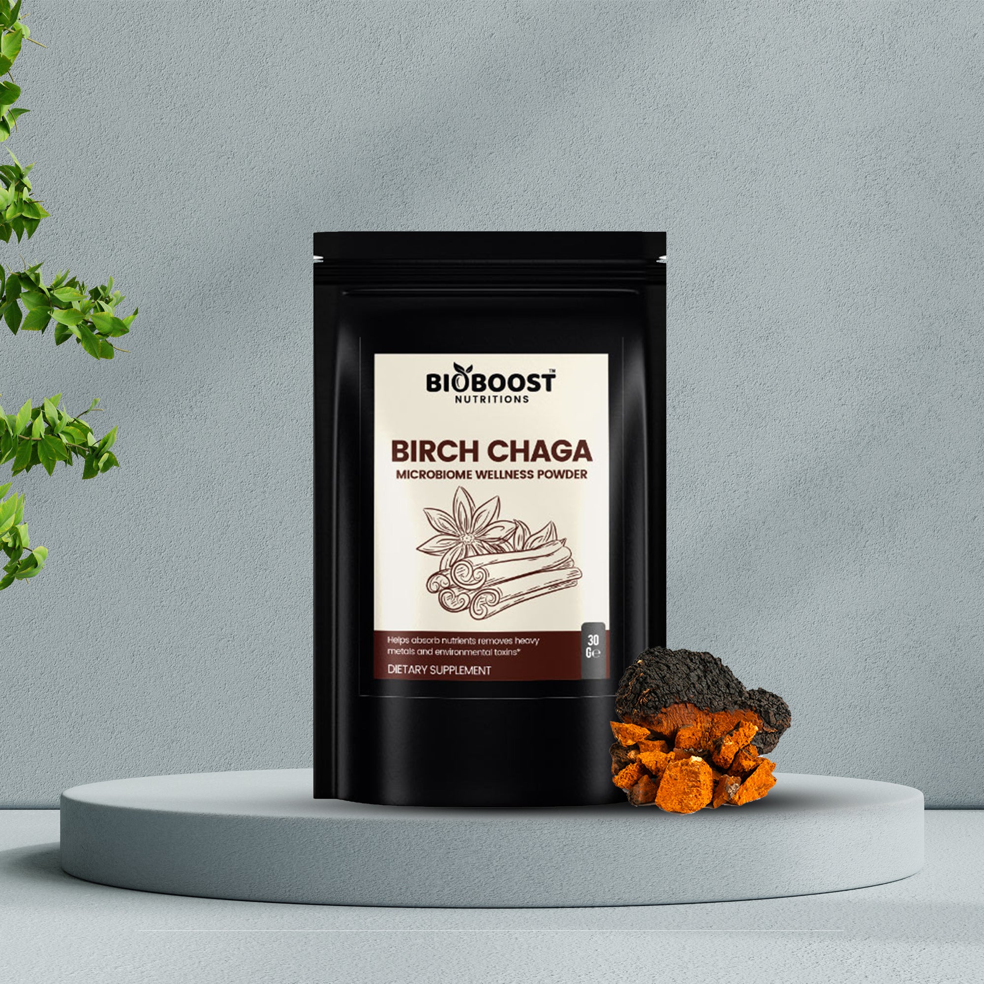 Birch Chaga Microbiome Wellness Powder